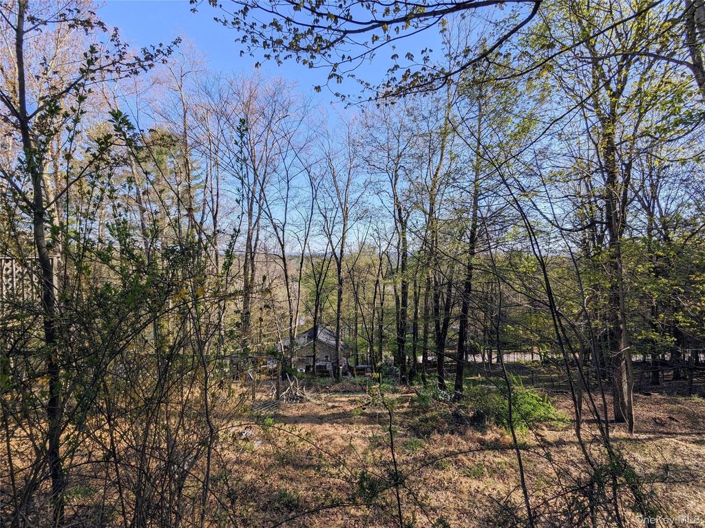 Photo of 33 E Tusten Place, Smallwood, NY 12778 (MLS # 986835)