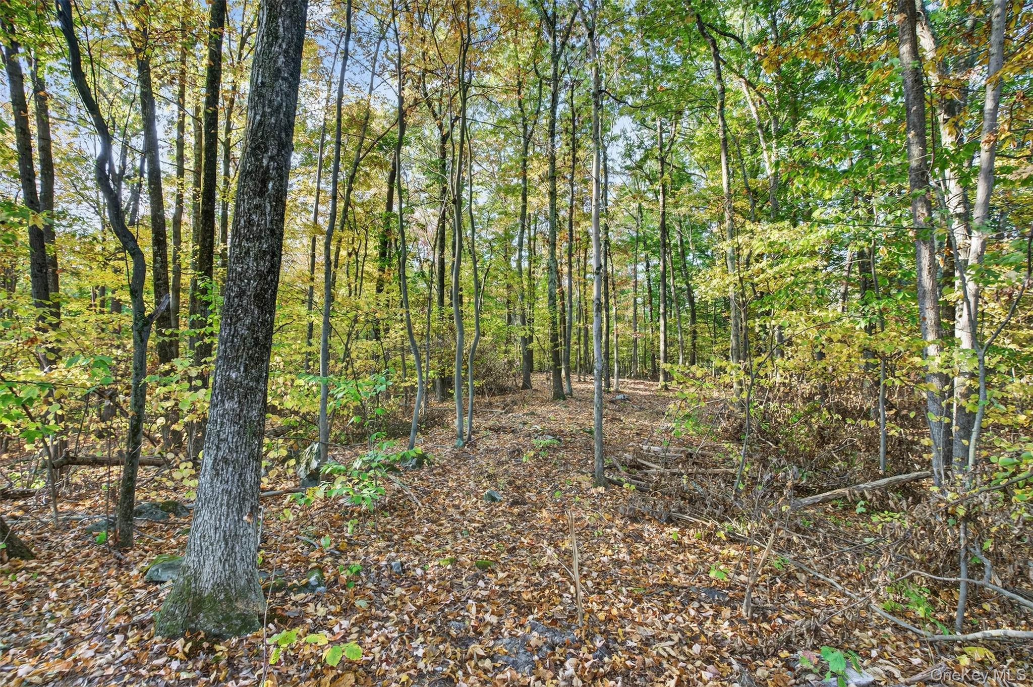 748 State Route 44 55