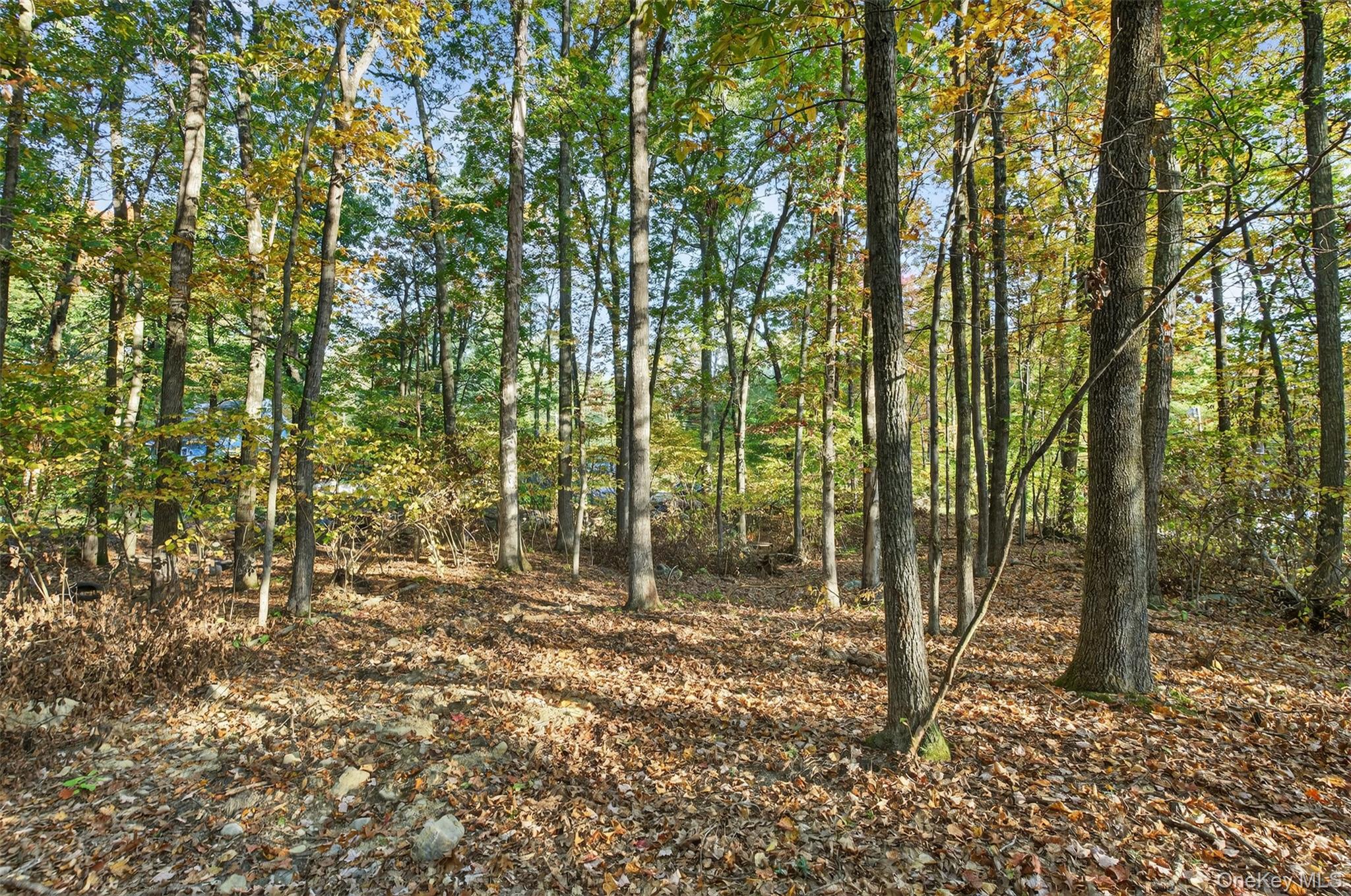 748 State Route 44 55