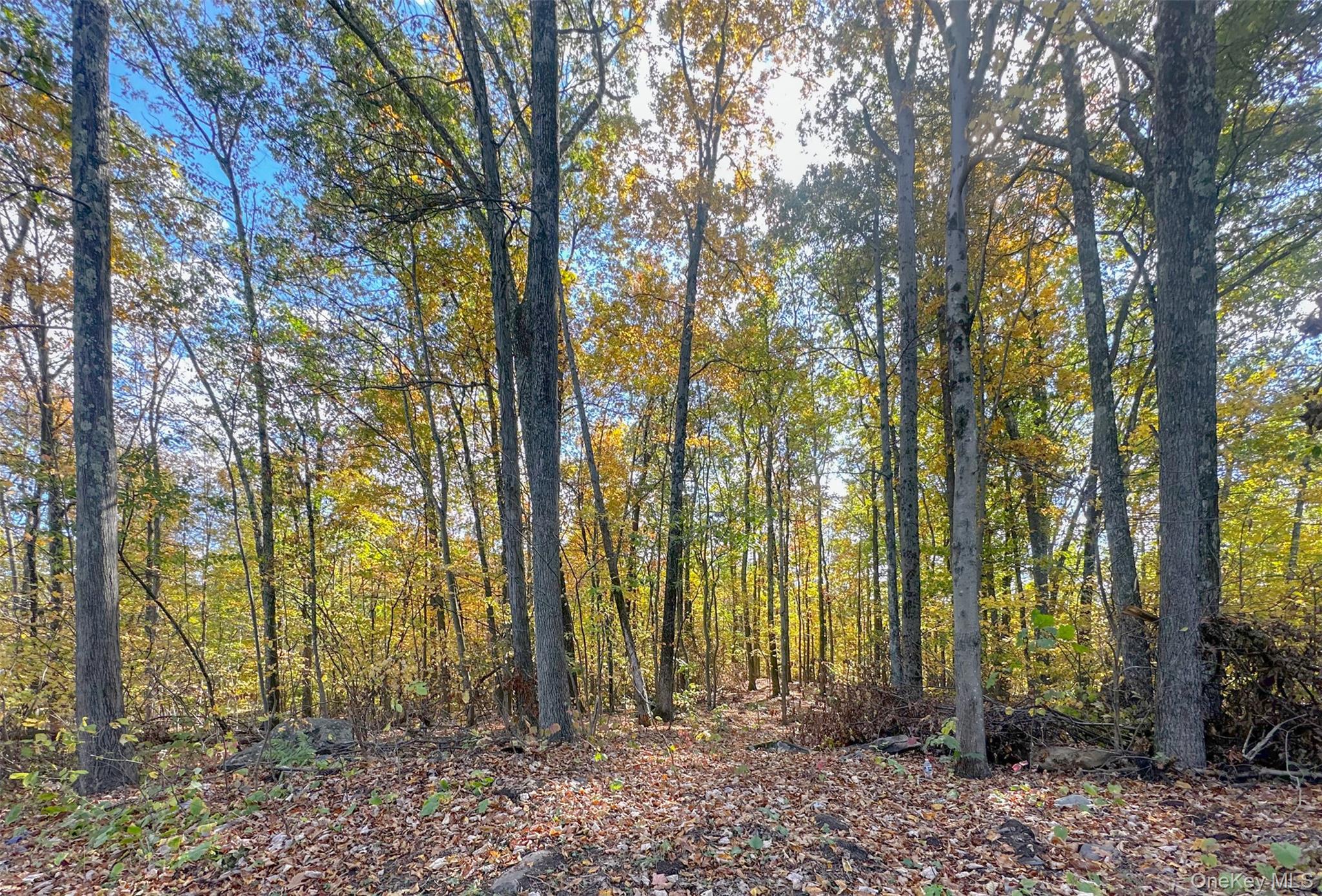 748 State Route 44 55