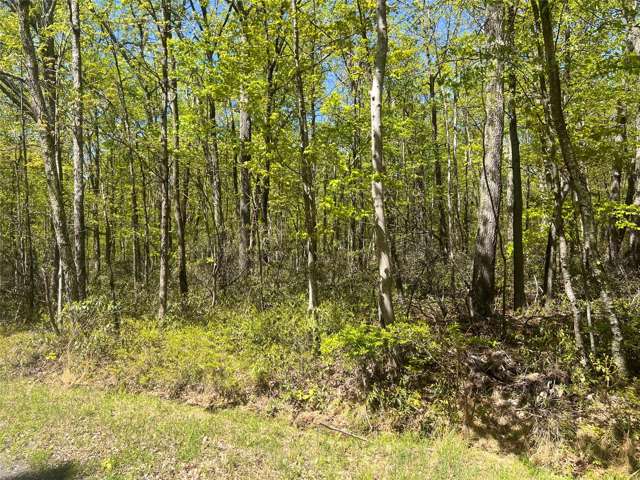 Schneller Lane, Pine Bush, New York image 5