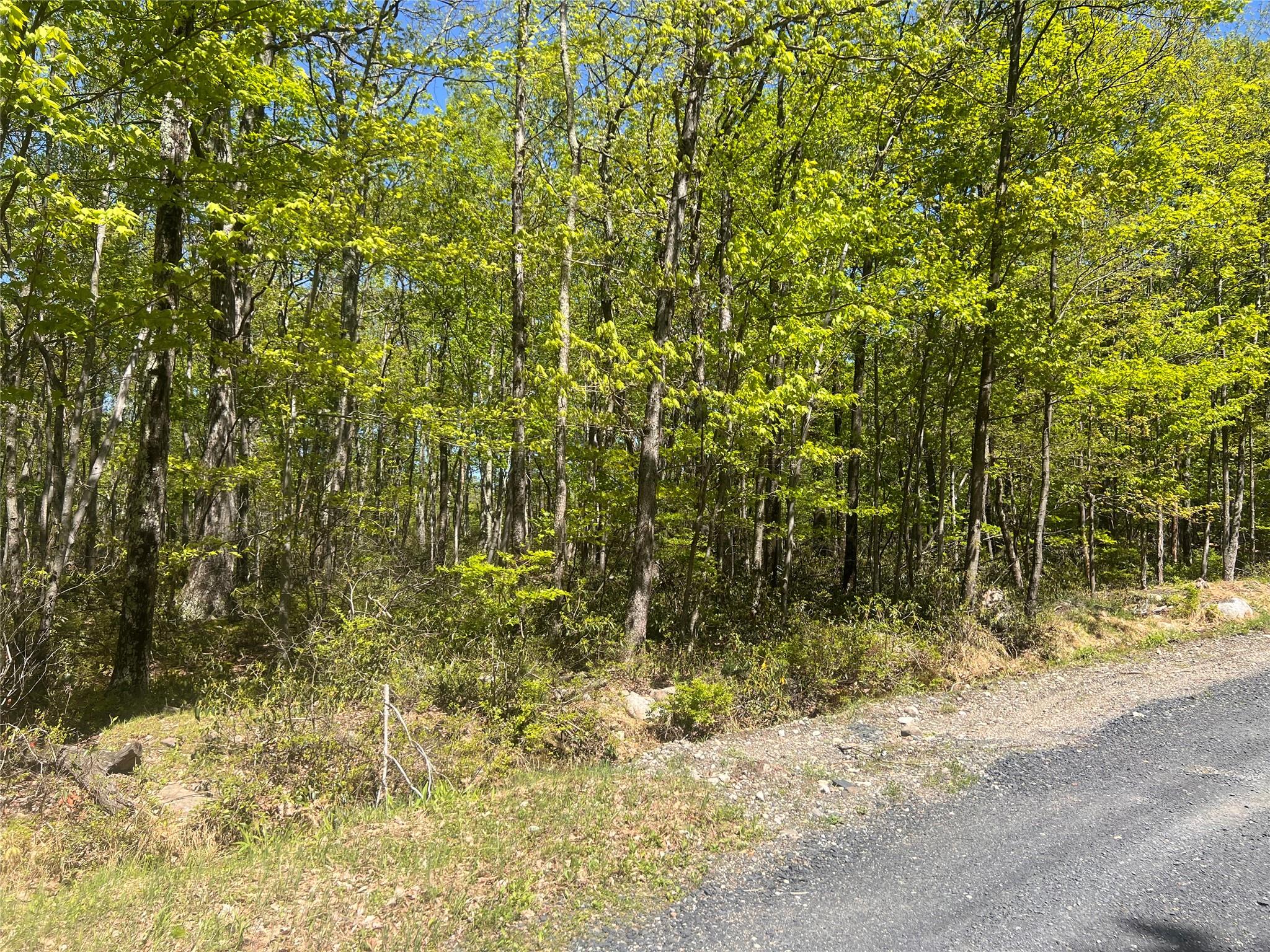 Schneller Lane, Pine Bush, New York image 3