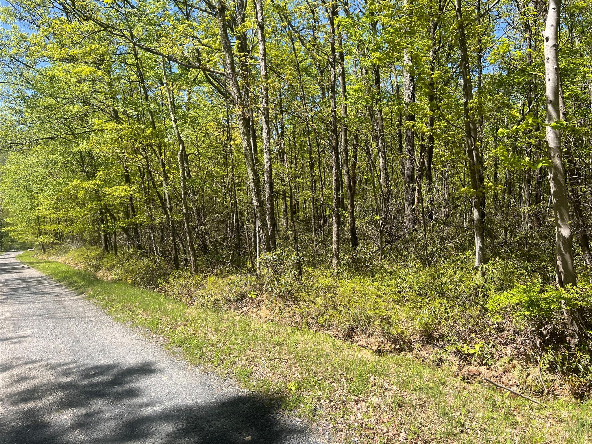 Schneller Lane, Pine Bush, New York image 4