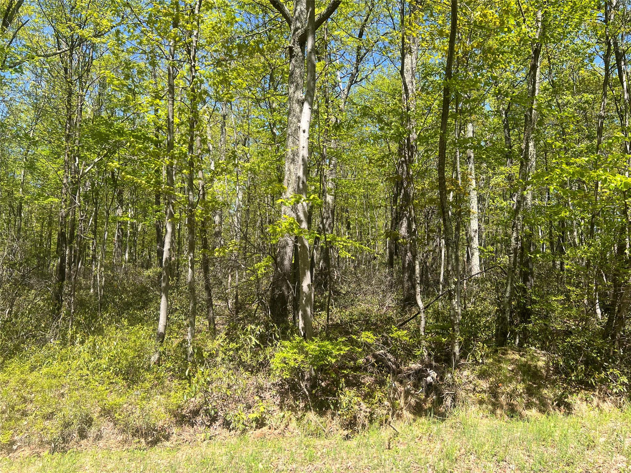 Schneller Lane, Pine Bush, New York image 6