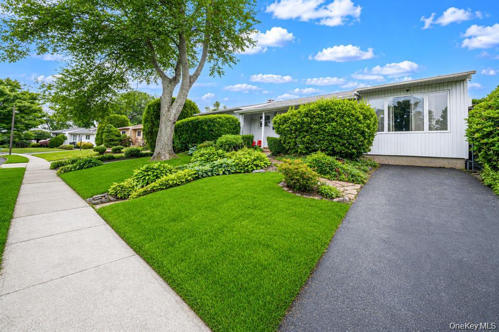18 Edi Avenue