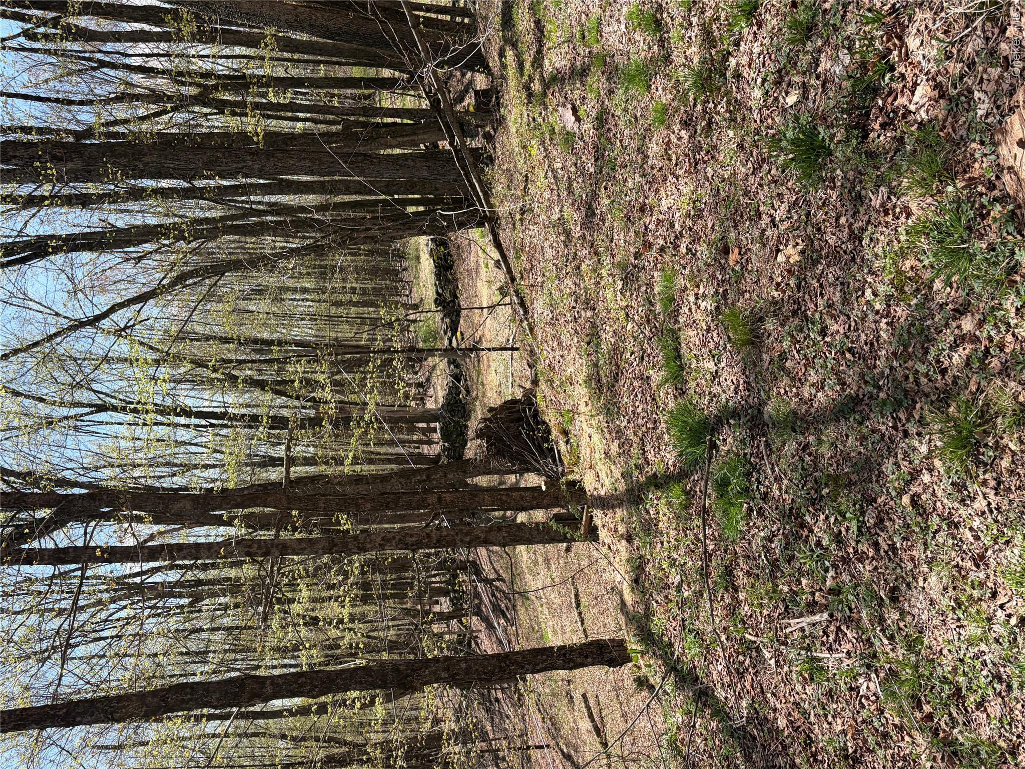 209 Stream Hollow