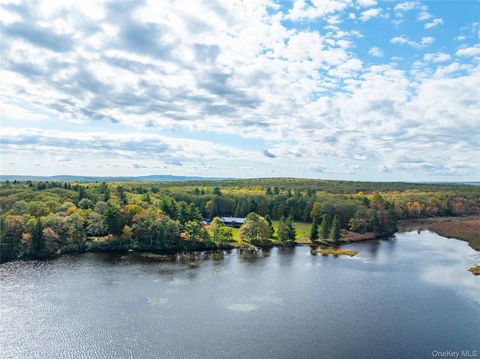 Homes For Sale - 3 Big Lake Road<br/> Huguenot, NY 12746