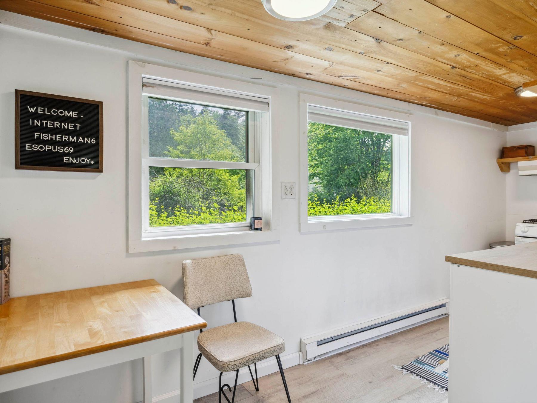 5221-5223 Route 28 #5221, Mount Tremper, New York image 37