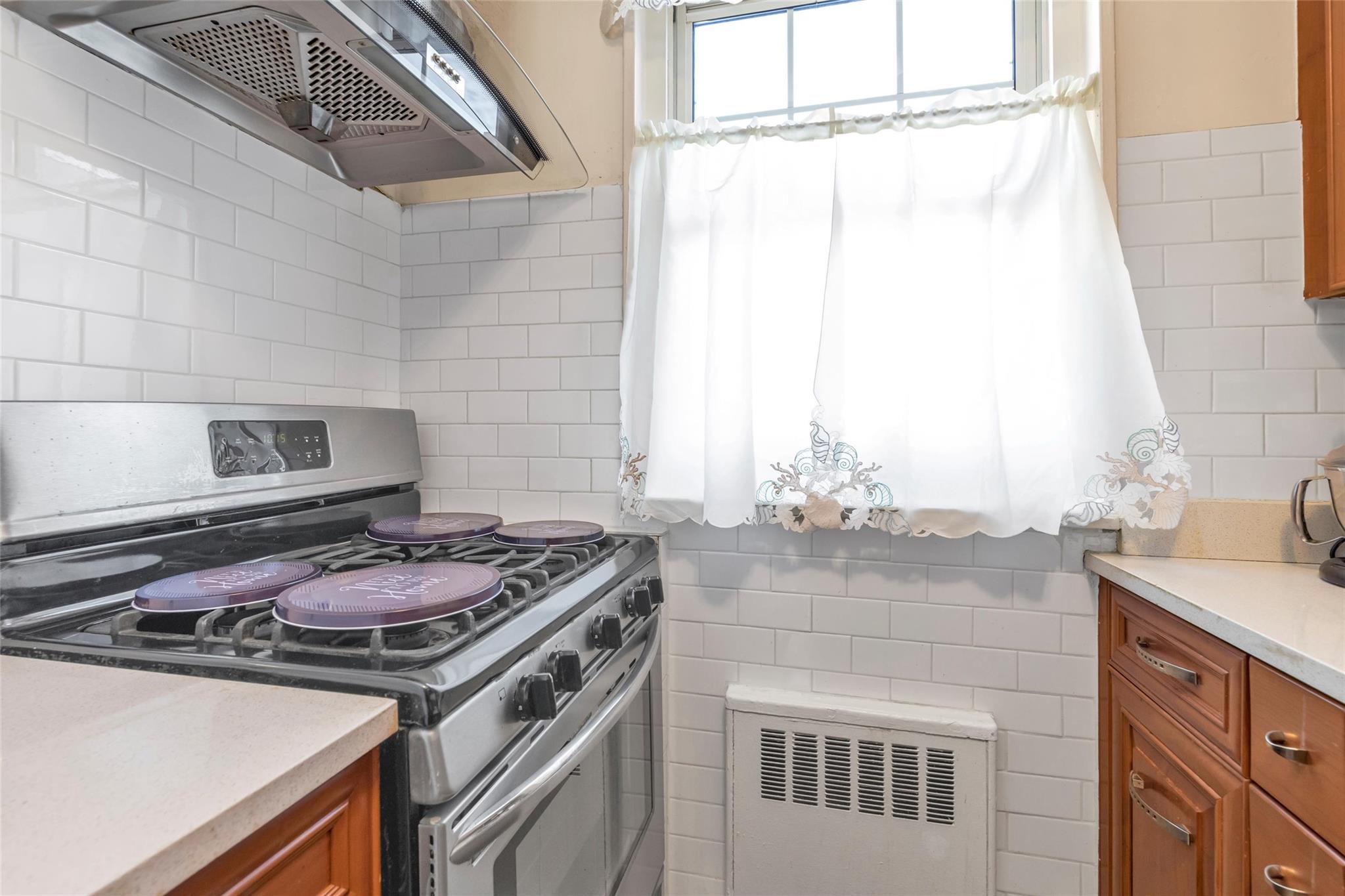 252-20 58 Avenue #2 FL, Little Neck, New York image 8
