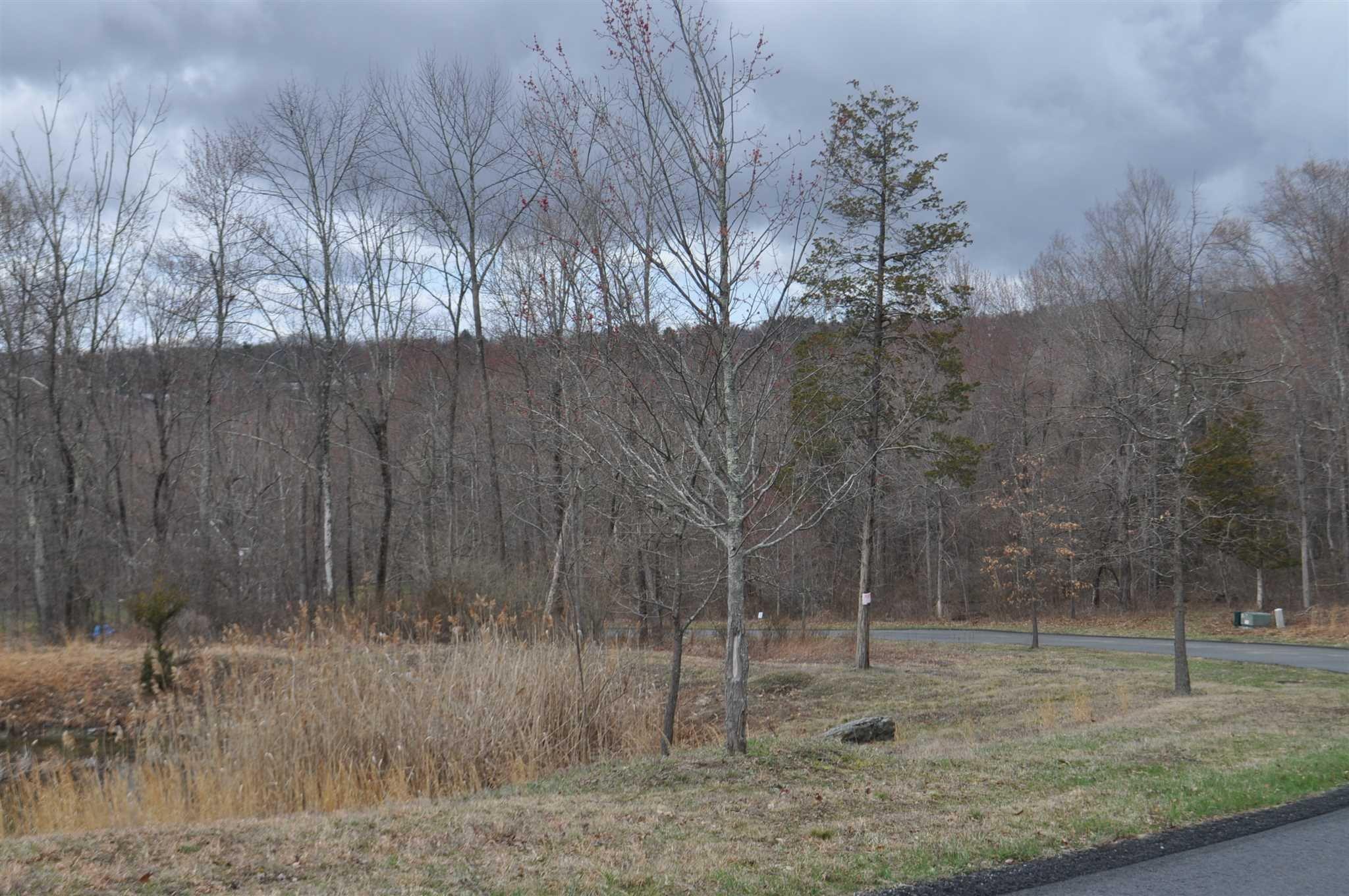 Stonecrest Lot #9 Court, Hopewell Junction, New York image 3