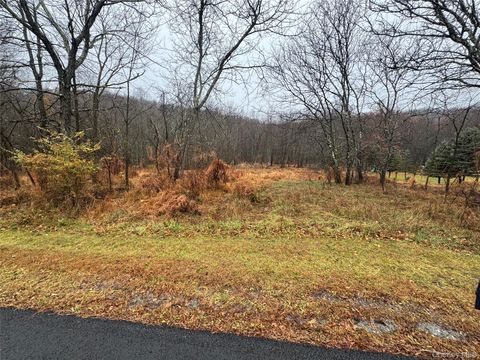Vacant Land For Sale - 41 Enright Lane<br/> Orange County, Montgomery, NY 12549