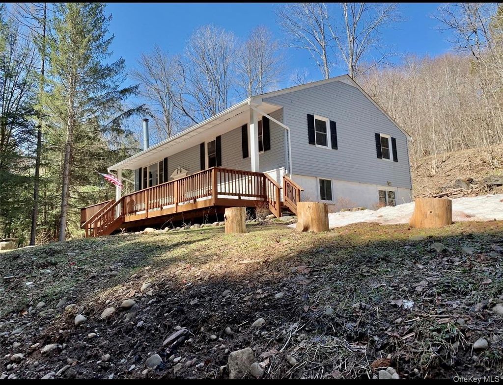 Photo of 604 Basket Road, Long Eddy, NY 12760 (MLS # 959083)