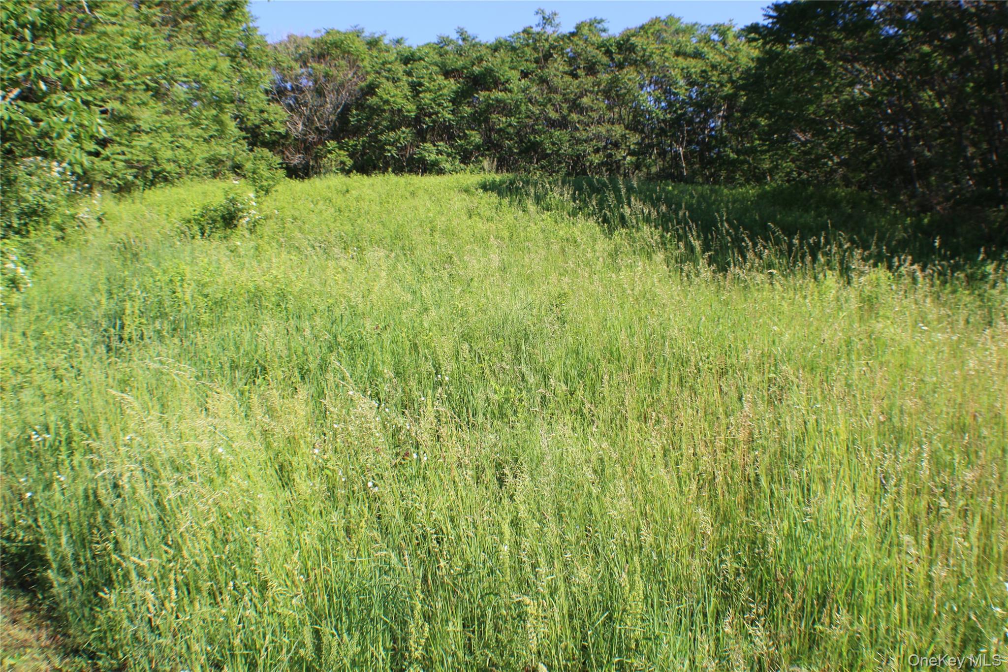 Lot 2 South Centerville Road