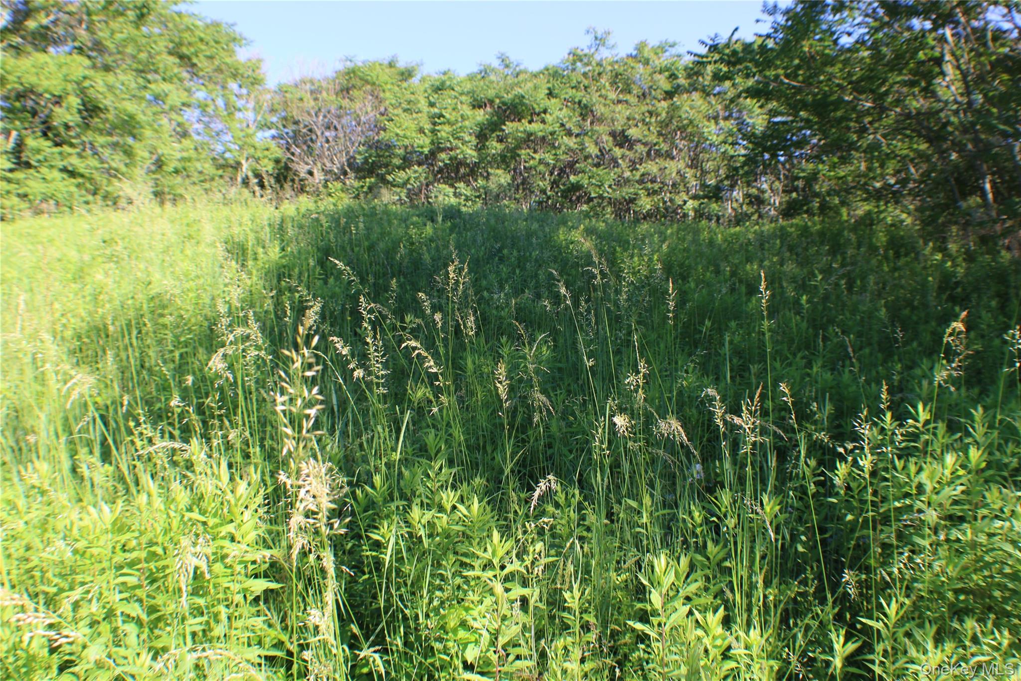 Lot 2 South Centerville Road