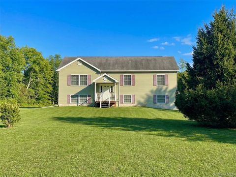 Homes For Sale - 1038 Us Route 209<br/> Cuddebackville, NY 12729