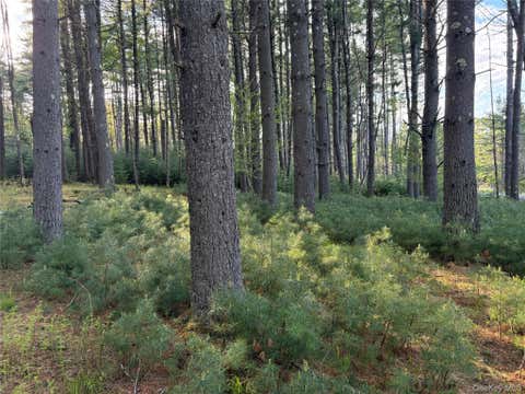 Vacant Land For Sale - Airport Road<br/> Sullivan County, Eldred, NY 12732