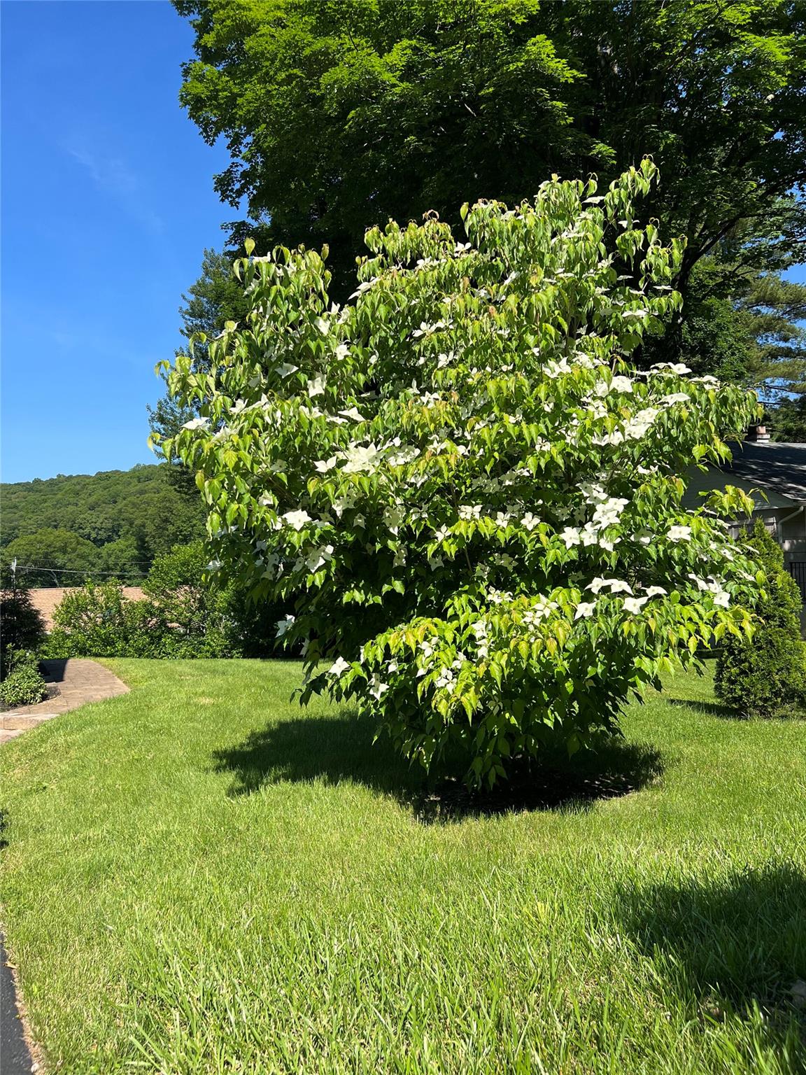 7 School Street, Cortlandt Manor, New York image 44