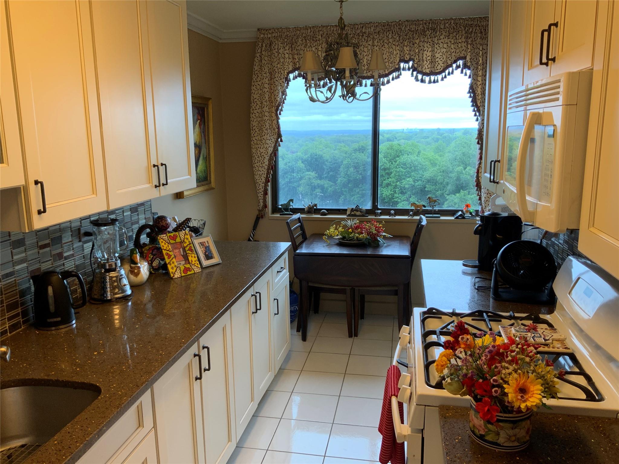 26910 Grand Central Parkway #8N, Floral Park, New York image 8