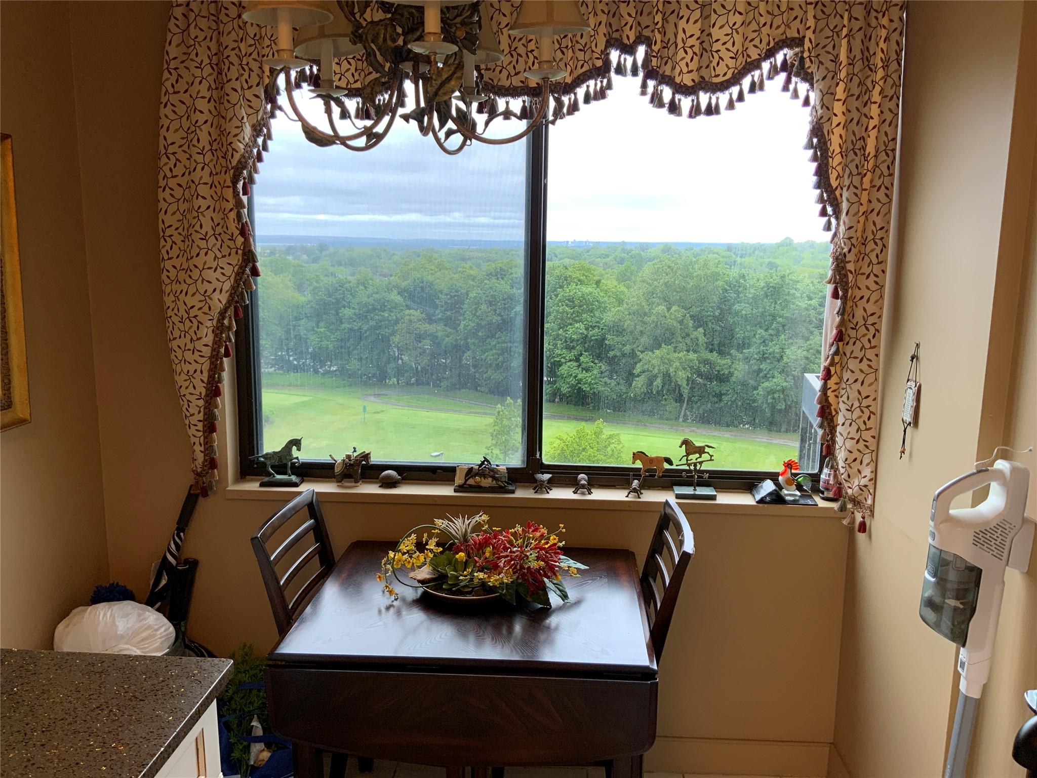 26910 Grand Central Parkway #8N, Floral Park, New York image 12