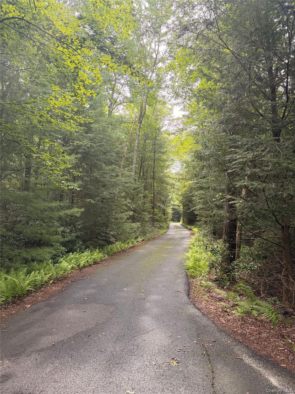 223 Spook Hole Road N