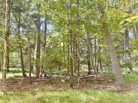 Vacant Land For Sale - 5 Trails<br/> Cuddebackville, NY 12729