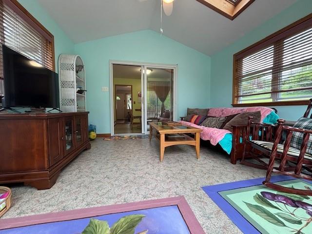 31 Albion Street, Liberty, New York image 9