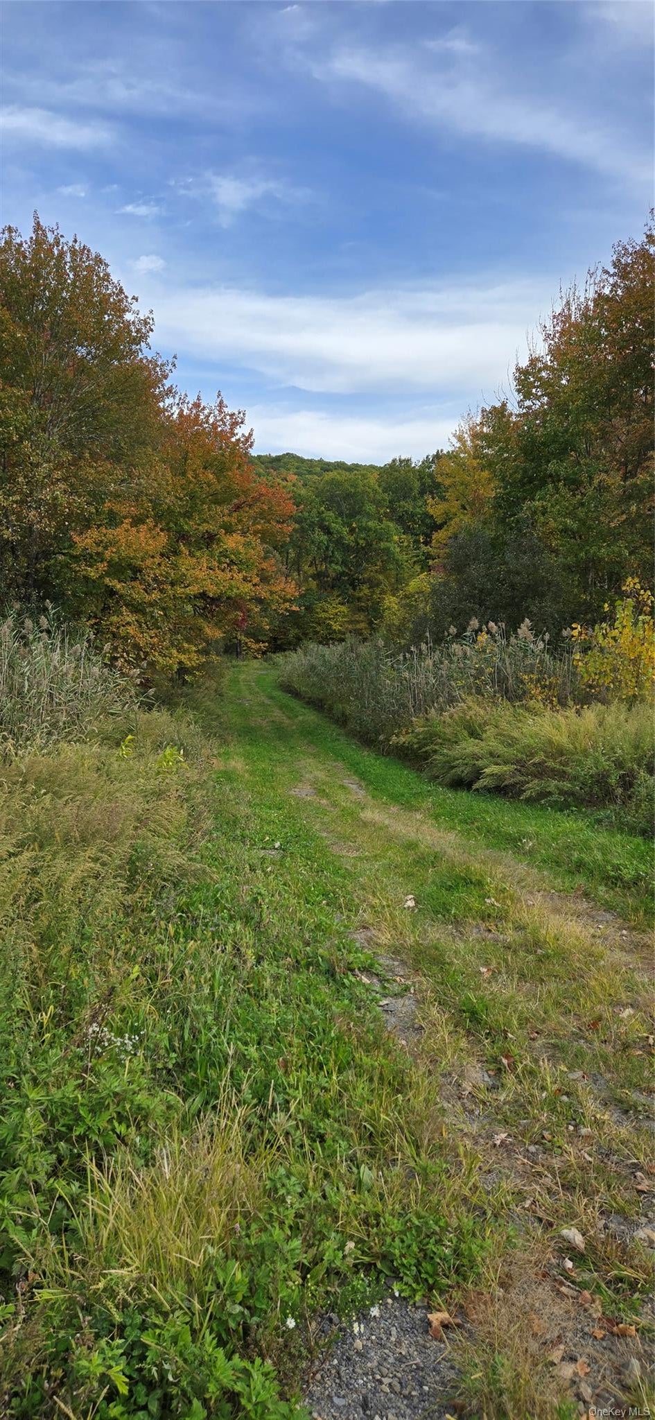 178 Tuckers Corners Road