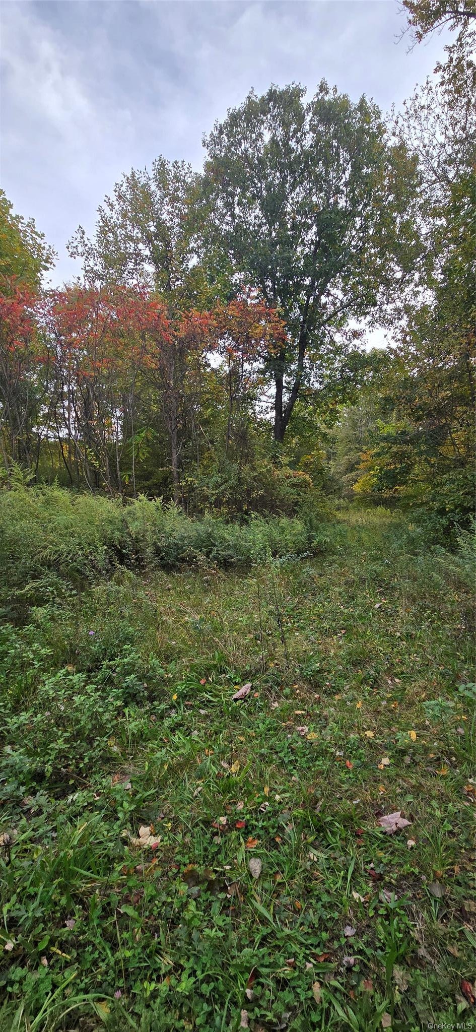 178 Tuckers Corners Road