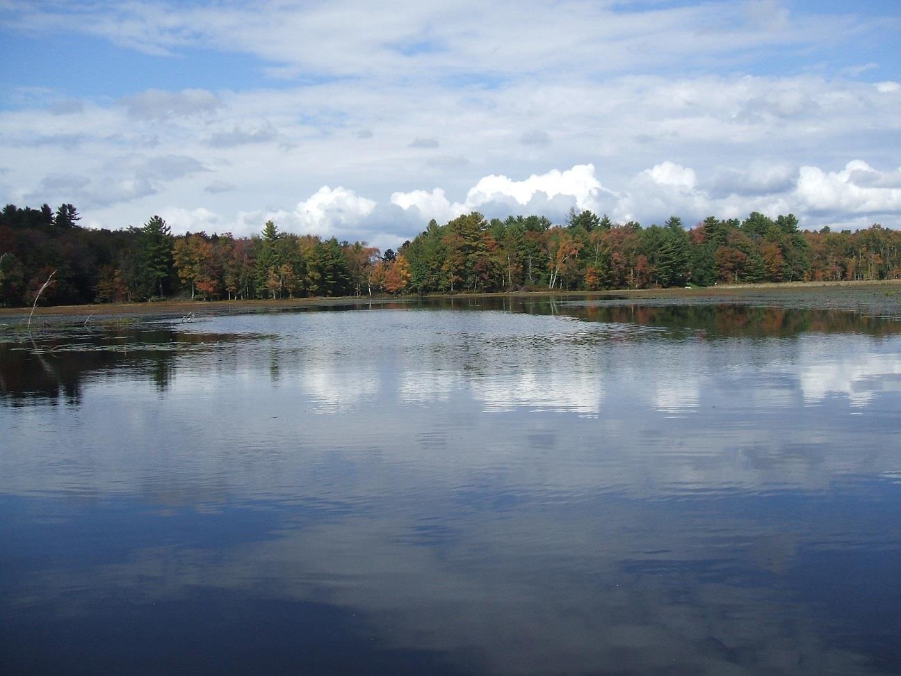 Rt-17b, White Lake, New York image 1