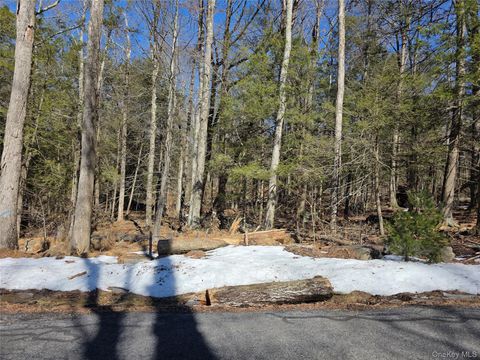 Vacant Land For Sale - Gregory Road<br/> Monticello, NY 12701