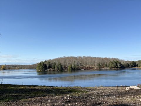 17 Eagles Ridge Way Parksville NY 12768