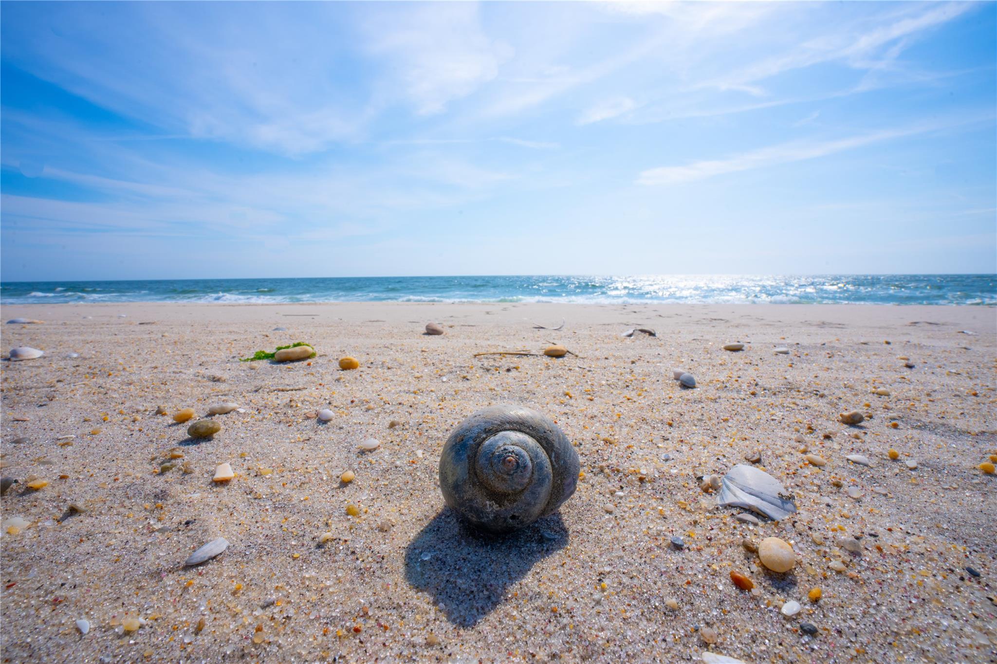 861 Dune Road, Westhampton Beach, New York image 46