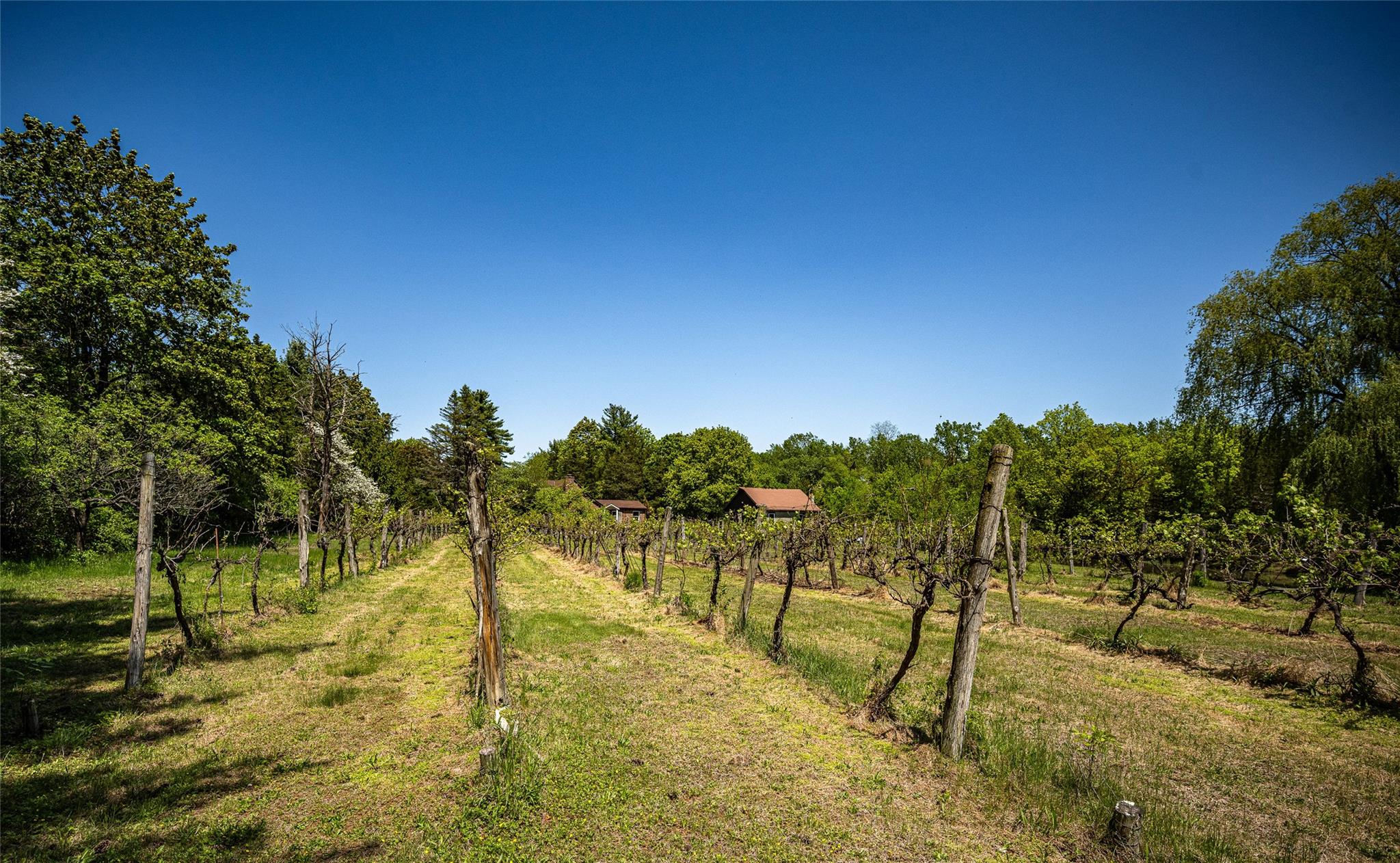 273 Round Top Road, Germantown, New York image 6