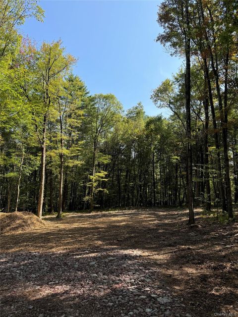 Lot 2 Evergreen Lane Narrowsburg NY 12764
