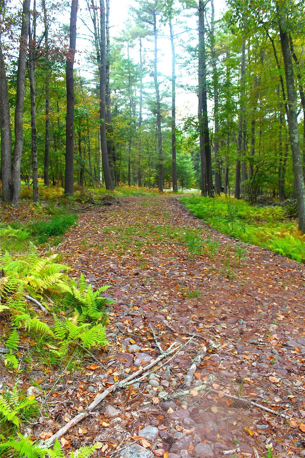 Lot 2 Evergreen Lane