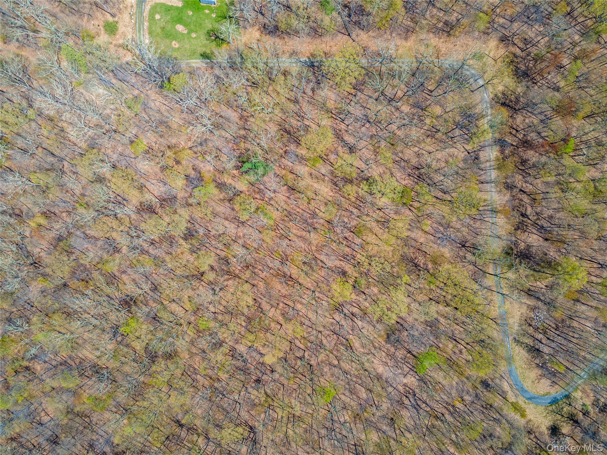 tbd Forest Glen Road
