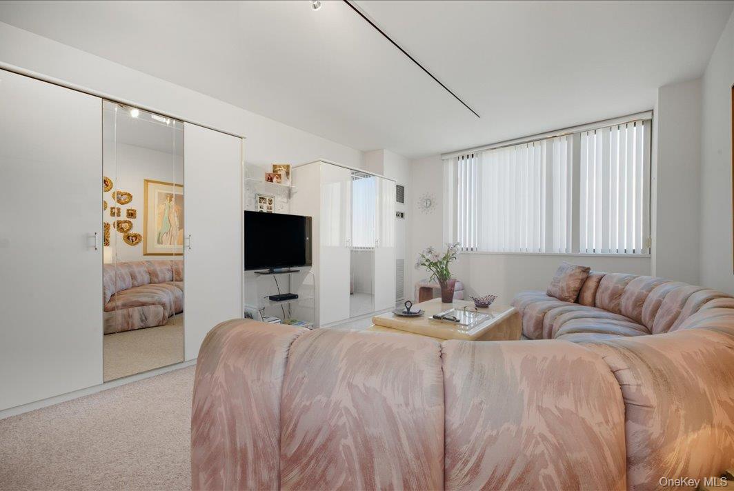 27010 Grand Central Parkway 21M