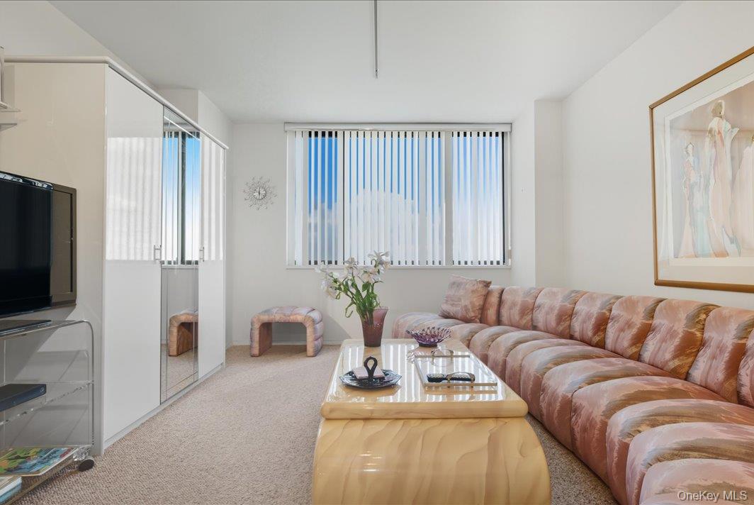 27010 Grand Central Parkway 21M