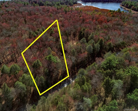 Vacant Land For Sale - LOT 2 Deer Meadow Road<br/> Bethel, NY 12720