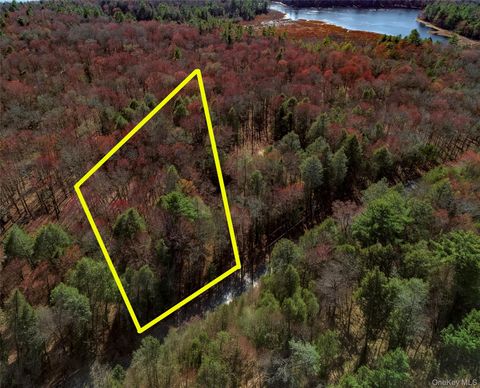 Lot 2 Deer Meadow Road Nys Hwy 17B Bethel NY 12720