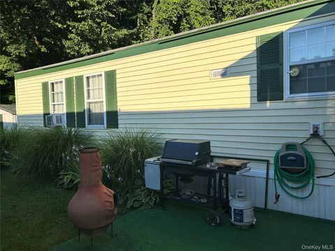 Homes For Sale - 63 Sasso Lane<br/> Wingdale, NY 12594