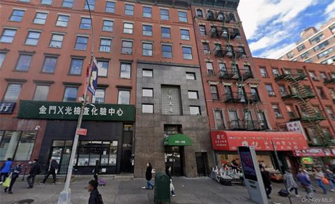 210 Canal Street 409 New York (Manhattan) NY 10013