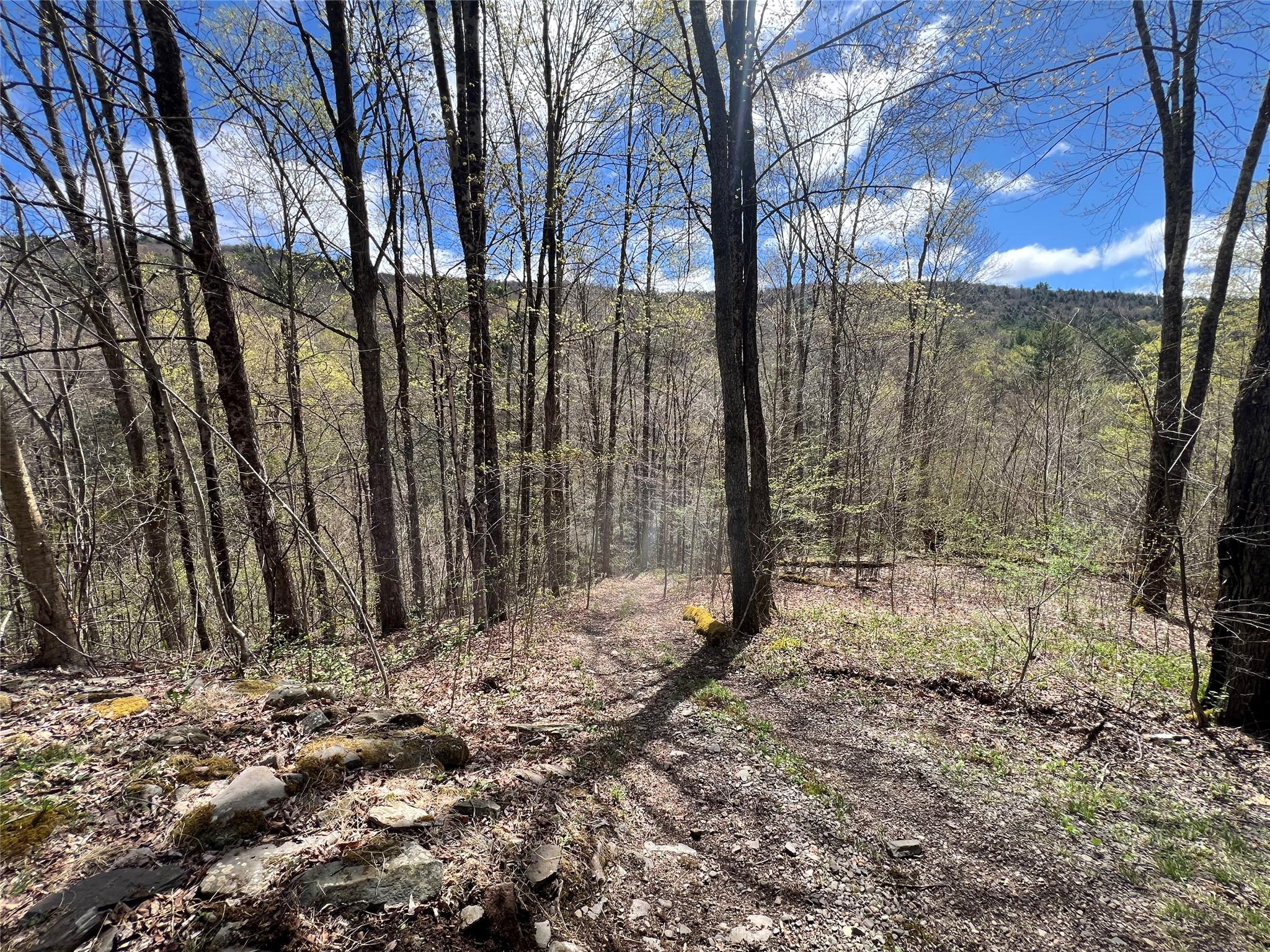 1042 Huntley Hollow Road