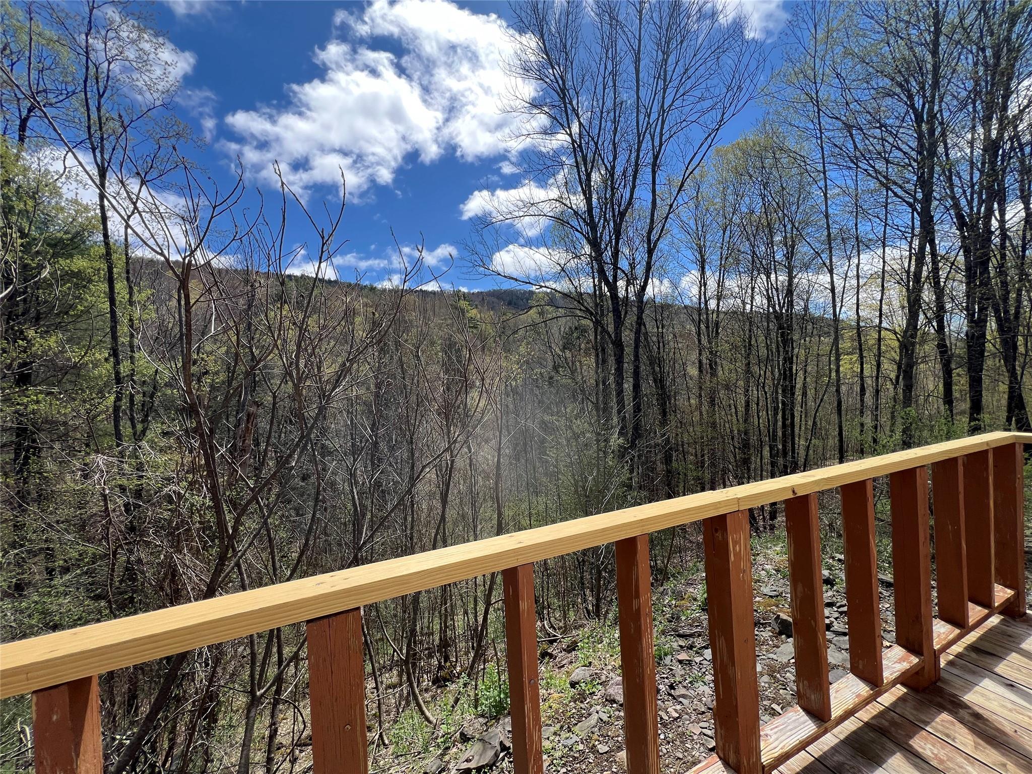 1042 Huntley Hollow Road, Delancey, New York image 6