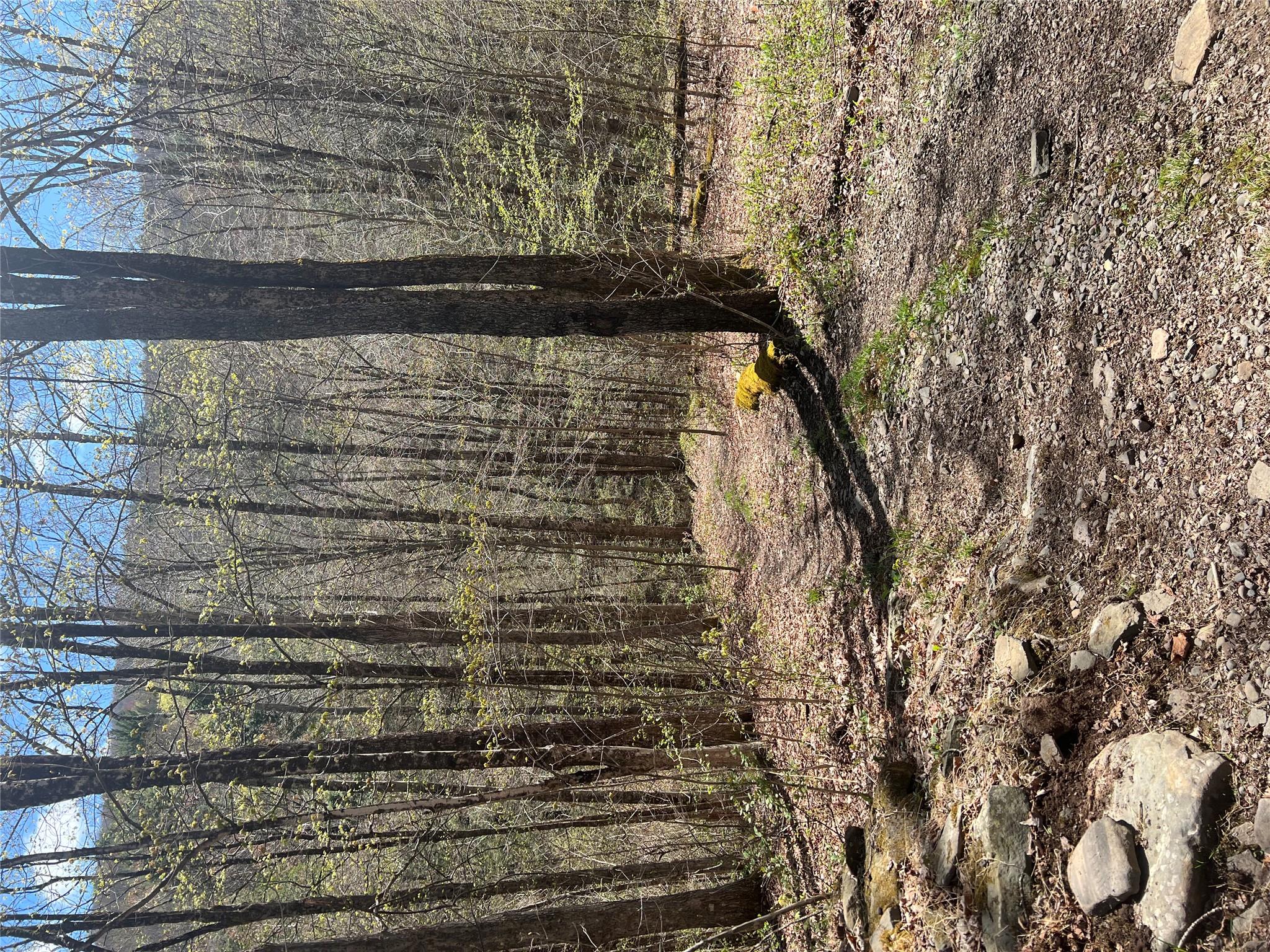 1042 Huntley Hollow Road, Delancey, New York image 33