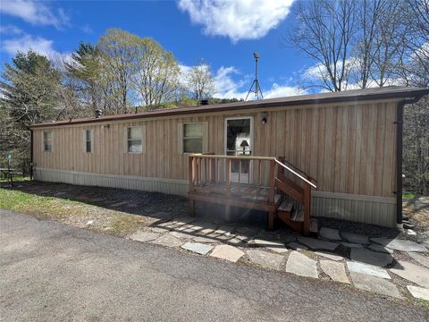 1042 Huntley Hollow Road Delancey NY 13752