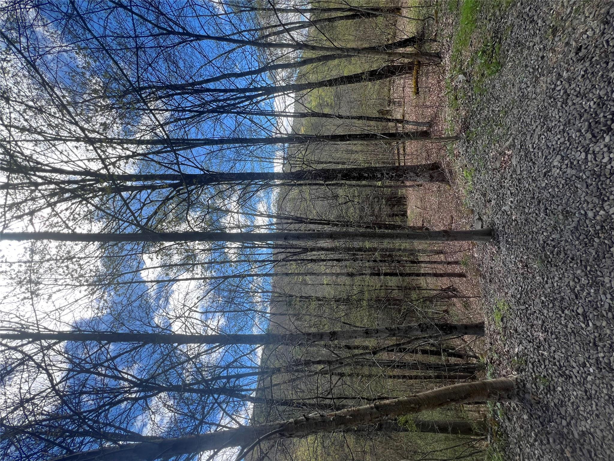 1042 Huntley Hollow Road, Delancey, New York image 30