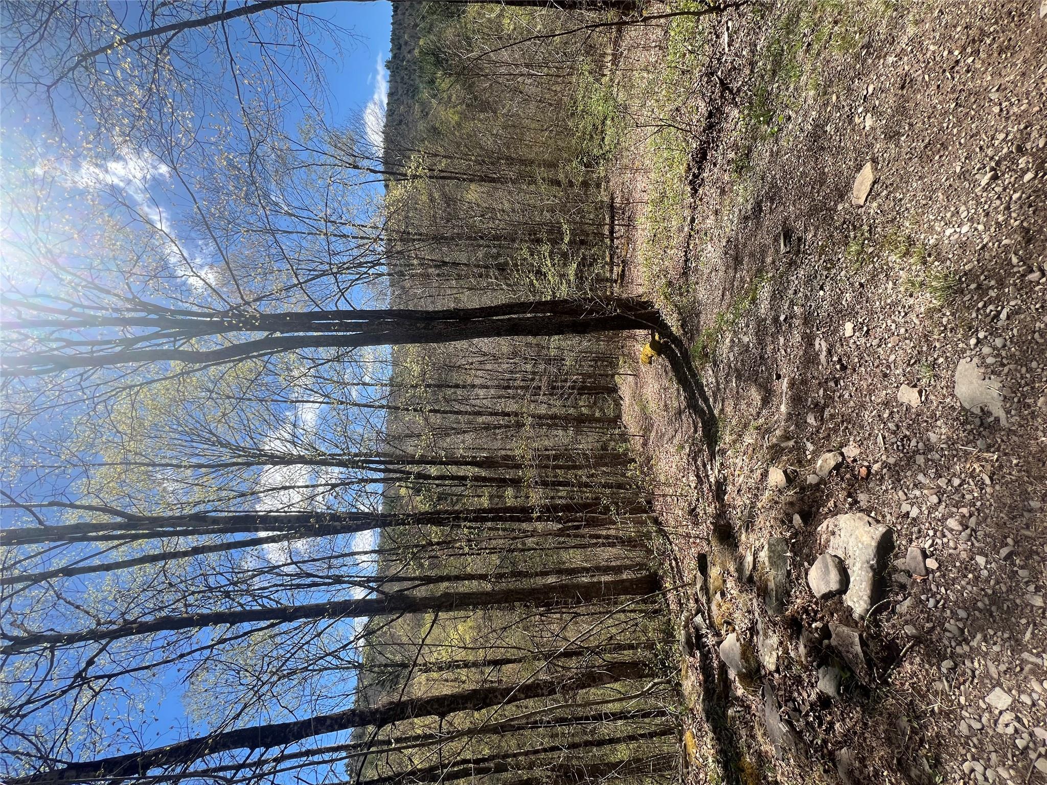 1042 Huntley Hollow Road, Delancey, New York image 32