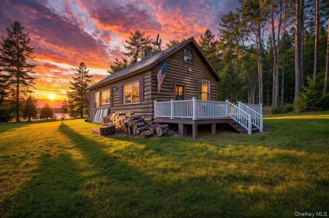 10 Stag Forest Road Forestburgh NY 12777