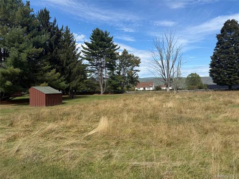 Vacant Land For Sale - Hall Road<br/> Grahamsville, NY 12740
